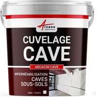 Arcane Industries – Enduit hydrofuge pour cave et sous-sol – Résistant à la contre-pression – Application facile sur supports humides – 25 kg blanc