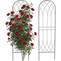 Rose Trellis Set Of 2, Metal Arched With Ground Spikes