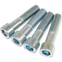 Vis Allen galvanisée 82302 KL.88 16110MM - 302 16110ZN