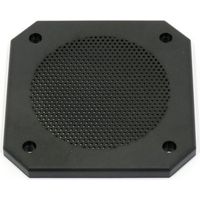 Visaton 10 PL Gitter
