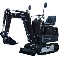 Woodster Mini-Bagger WMB800 mit 69 cm Spurbreite 8,5 PS