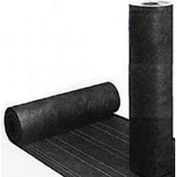 Guaina Bituminosa Poliestere Impermeabilizzante- ROTOLO DA 10 METRI spessore 4mm