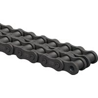 Catena a rulli dupl. 1 1/2 x 1 TSUBAKI RS24B2