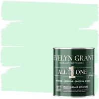 EVELYN GRANT All-IN-ONE Paint & Primer - Multi-Surface Paint For Interior Walls, Outdoor Garden & Exterior Walls, Wood Furniture - High Durability Multi-Feature - Mild Mint - 1L - Matt