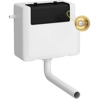 Nuie Concealed Cistern and Brushed Brass Traditional Round Dual Flush Buttons - XTY8T03