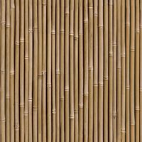 Arthouse Bamboo Wall Natural Wallpaper Brown Paste The Wall Modern Contemporary