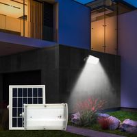Solarlicht Led-Strahler 1000 Lumen Dämmerungssensor und Bewegung Zambot