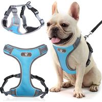 Pettorina da addestramento per cani ASTRO, blu, taglia M