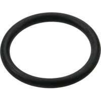 O-Ring 22,22 x 2,62 EPDM ARAG 465005140
