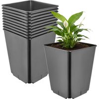 Garronda Pot de Fleur Carré Haut Plastique 16 × H 20 cm (3,5L) - x10 Godets Semis Pot Culture Profond Drainage Résistants Intempéries pour Plantes Pépinière Jardin Serre Intérieur Extérieur GD-0201