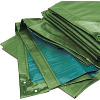 RAINEXO Abdeckplane, 150g/qm, 4x6m, gr/bl