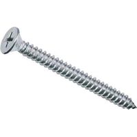VIS AUTOFOREUSE INOX TSP 3,5x38 mm