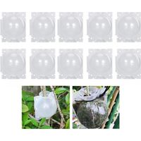 10 bolas de enraizamiento para plantas - Caja de injerto para jardín - Caja de enraizamiento para plántulas - Bolas de enraizamiento - 12 cm, transparente