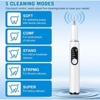 Nettoyeur de Tartre, Detartreur Dentaire Ultrasone, 5 Modes de Nettoyage avec LED, Détartreur Dentaire Électronique Sans Douleur pour Éliminer la