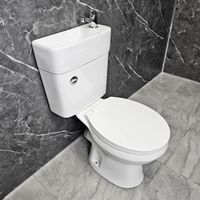 Duo All In One Toilet Basin Sink Rimless Combination 2 in 1 Cloakroom Inc Tap