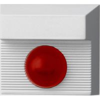 PENTATECH 33166 LED-Anzeige mit Summer 70 dB Innenbereich