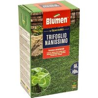 Blumen - Semillas de césped de trébol enano 200 g: ¡el secreto de un césped perfecto