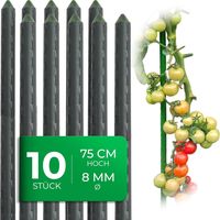 10 tuteurs pour plantes 75 cm vert 8 mm tube métallique plastifié