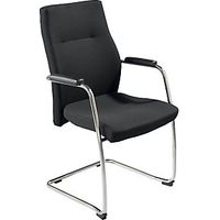 Freischwinger mit Armlehnen Sitzmaße HxBxT 490 x 575 x 530 mm