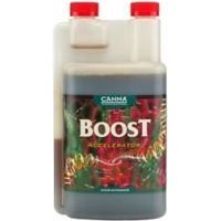 Flüssigdünger canna boost accelerator steigert Ertrag Geschmack