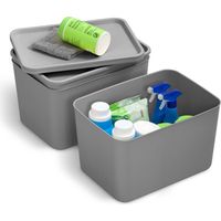 Iris Ohyama, Boites de Rangement dressing plastique, 22L, Lot de 3, Gris, SNL-MD