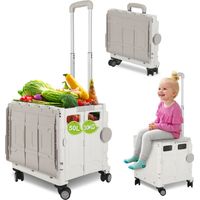 Wolketon Carrello spesa pieghevole 50L con coperchio, 4 ruote, trolley box per spesa e casa, bianco