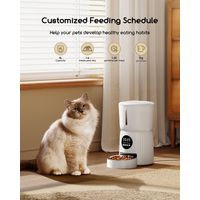 Distributeur de croquettes automatique programmable pour chat et chien avec bol en acier inoxydable