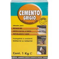 COLORCHIMICA Cemento grigio professionale 1 kg per murature e riparazioni