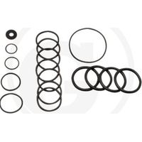 O-RING-Satz für Membranpumpe AR70 ANNOVI 6702365