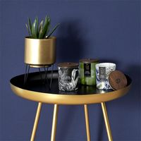 The Home Deco Factory – Lot de 2 cache-pots filaires en métal – Couleur or – Dimensions 20x20cm – Pour plantes d'intérieur et décoration moderne