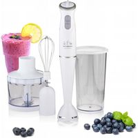 Hyundai HB983 blender manuel blanc 380W puissant