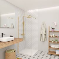 Swiss Aqua Technologies Porta doccia Walk-in 70x200cm 8 mm anticalcare Crystal Glass®, con bracci e profili dorati (SATBWI70PRZ)