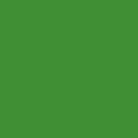 1KG-vert-Peinture temporaire naturelle pour sol extérieur (1kg/5m2) Natura