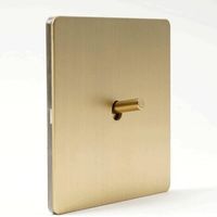 4G, 2V, Brass – Retro-industrial style wall light switch, matte gold – Brass--BIEMMEDUE