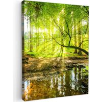 Canvas Print Forest - Landscape - Water - Trees - Sun - Green - Nature 30x40 cm