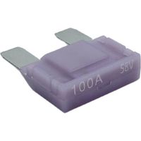 Hansor AMP-M100 Maxi Flachsicherung 100 A Violett 1 St.