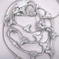 Luccika cavo portante bianco da 1 metro con 10 connettori femmina a T per luci a stringhe stalattiti e tende IP44 Bianco 1 metro