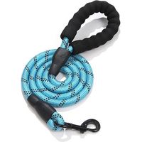 laisse de remorquage pour chiens, 3 m Laisse robuste pour chien, laisse d'entraînement