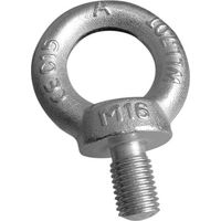 Boulon à œil galvanisé DIN580 142MM - SRU M14