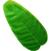 Grandes feuilles tropicales artificielles en banana, décorations pour fête