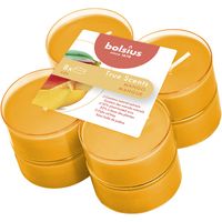 Velas perfumadas Maxi Light de Bolsius (8 unidades), aromas auténticos, mango