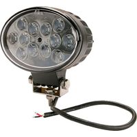 Luz de trabajo LED 36 W 2760 lm oval'10-30 V 144 x 85 x 95 mm haz concentrado 12 LED'UNIVERSAL 36W LA10060