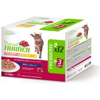 Gatto - Natural Trainer 12x85gr Salmone&Pollo