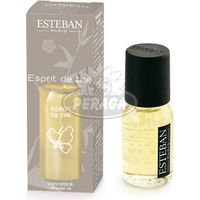CONCENTRATO DI PROFUMO ESPRIT DE THé PER TUTTI I DIFFUSORI 15ML