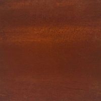 Potager surélevé en acier Corten de 100 x 100 x 18,5 cm