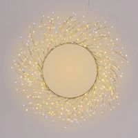 Corona Rami Tiglio 75 cm 350 MicroLED warmweiß