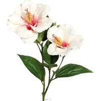 Hibiscus artificiel en branche H 65 cm 2 fleurs exotiques Crème - couleur: Crème
