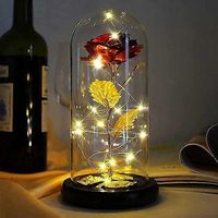 Rose en or 24 carats - Rose éternelle plaquée or dans une coupe en verre avec lampes dorées
