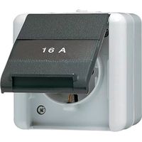 Jung SCHUKO-Steckdose 16A 250V 820 NAW