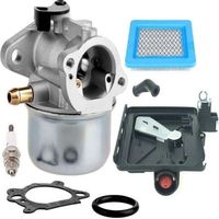 FENOPLASTICACarburateur 799868 pour carburateur Briggs & Stratton 498170 799872 694202 497586 498254 790821 Carburateur – pour carburateur Briggs & Stratton 14111 + 795259
